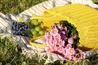 Yellow wicker bag with beautiful flowers, grapes and blueberries on picnic blanket outdoors, closeup