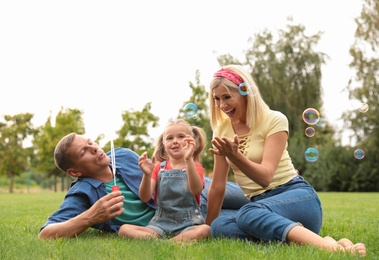 Happy family blowing soap bubbles in park on green grass