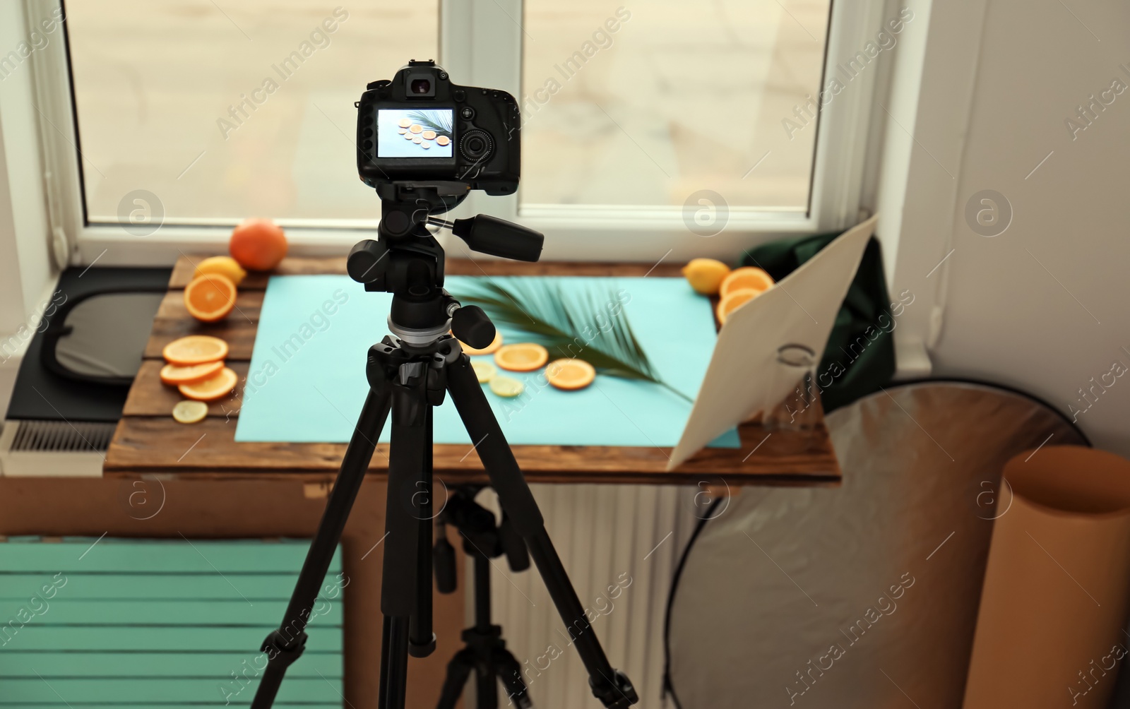 Photo of Professional camera with picture of cut fruits and palm leaf on display in studio. Food photography