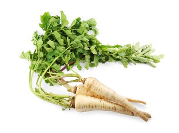 Photo of Tasty fresh ripe parsnips on white background