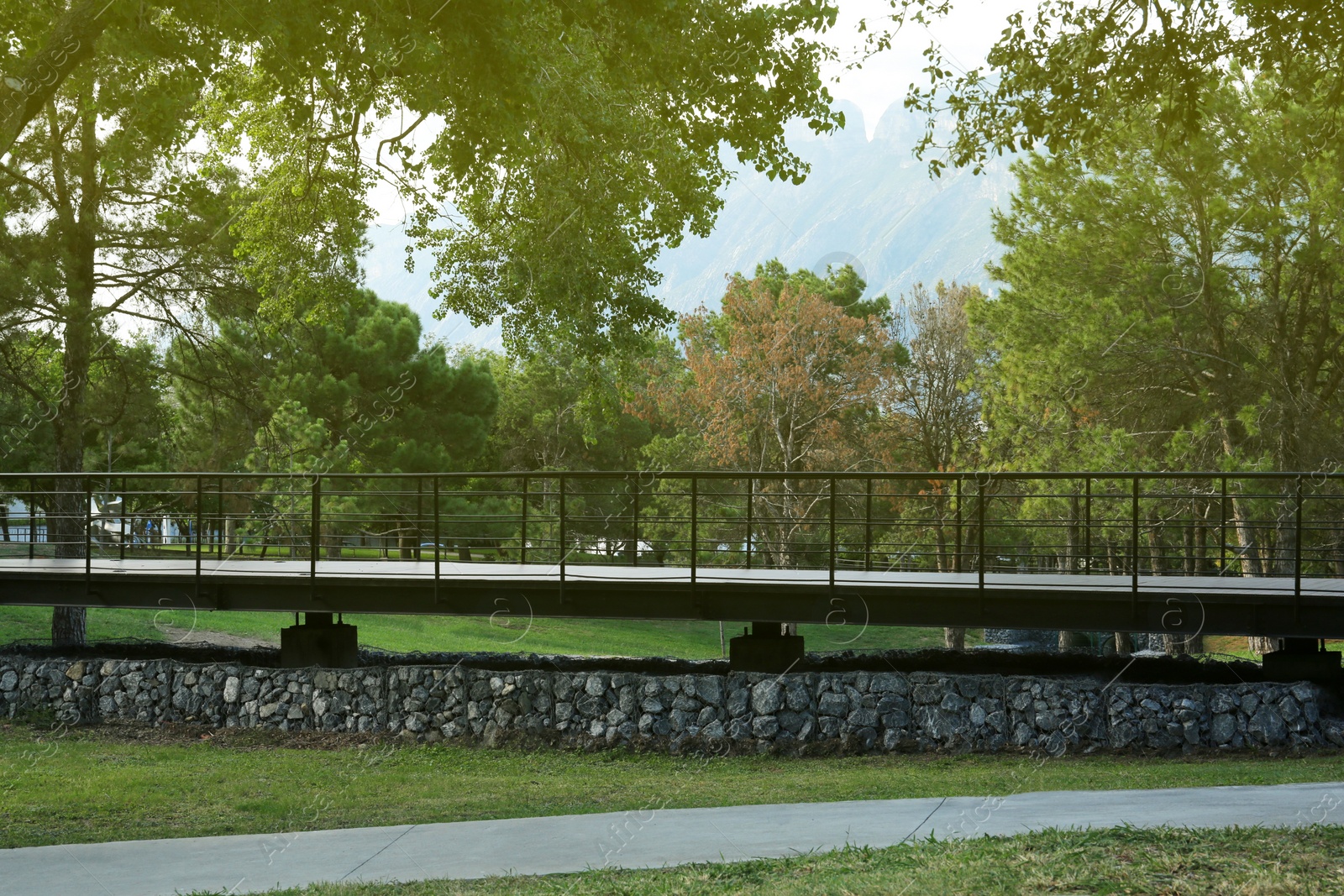 Photo of Picturesque view of bridge with metal railing and many trees in park