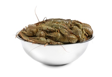 Photo of Fresh raw crayfishes isolated on white. Healthy seafood