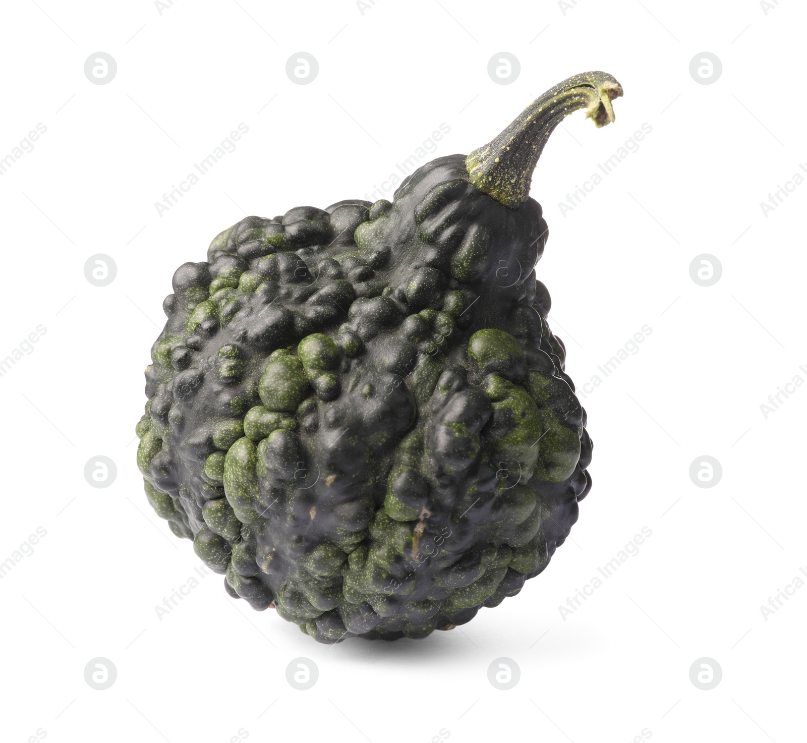 Photo of One whole ripe pumpkin isolated on white