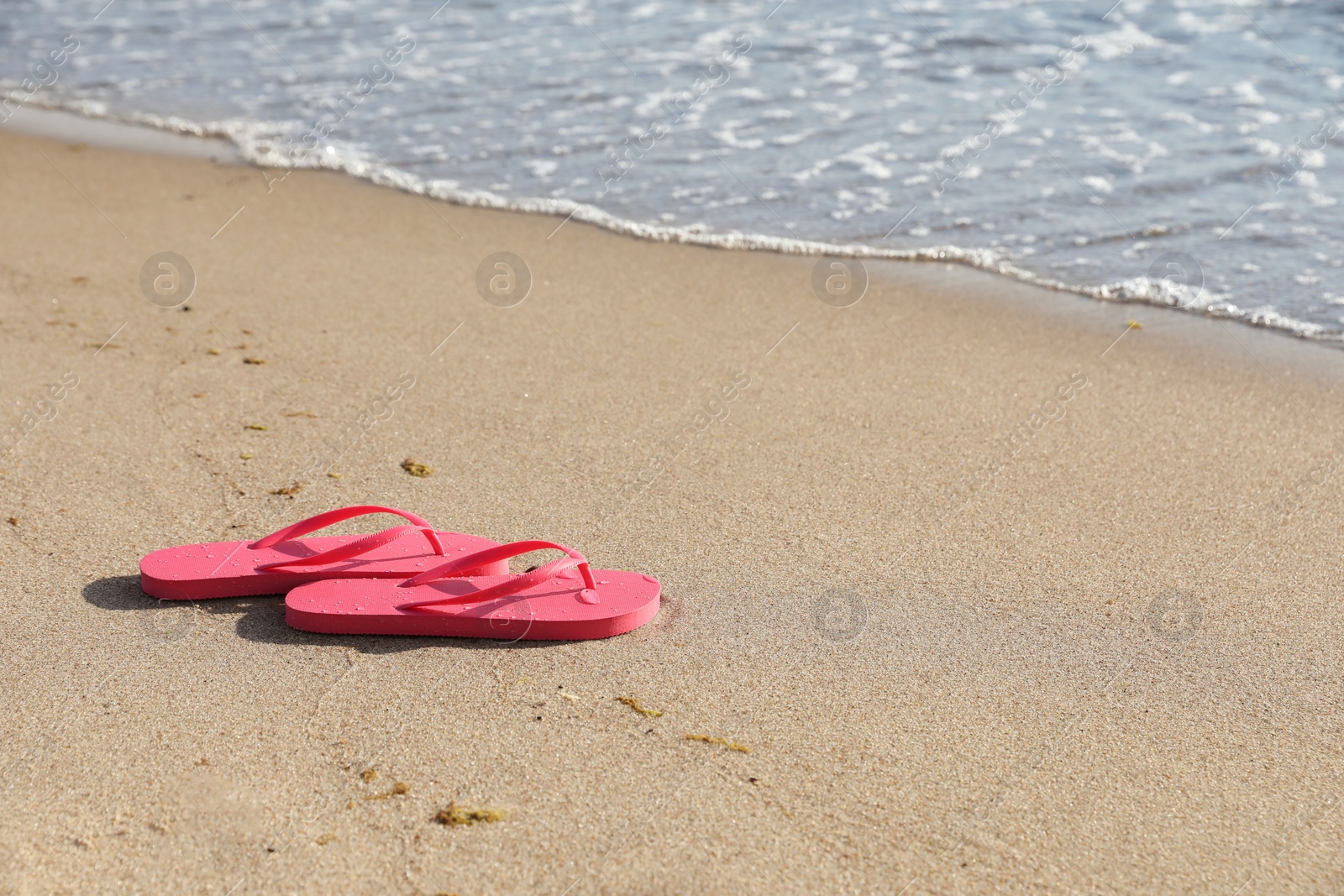 Photo of Stylish bright pink flip flops on sand near sea. Space for text