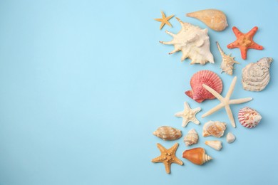 Photo of Beautiful starfishes, sea shells and stone on light blue background, flat lay. Space for text