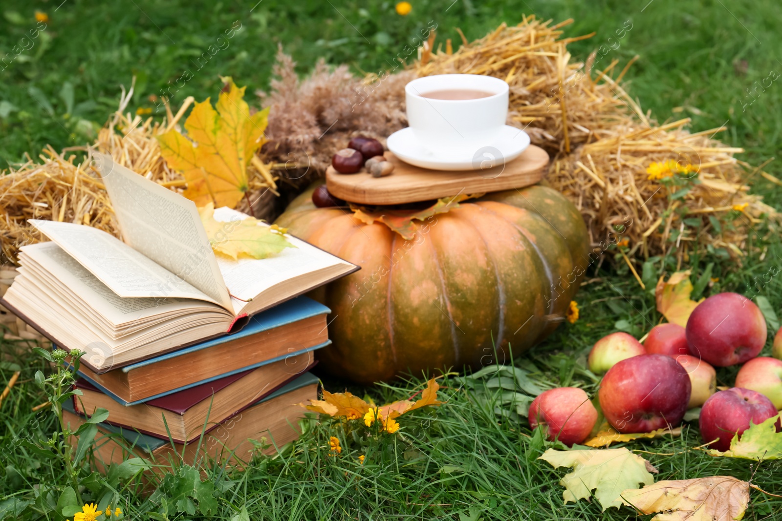 Photo of Books, pumpkin, apples and cup of tea on green grass outdoors. Autumn season