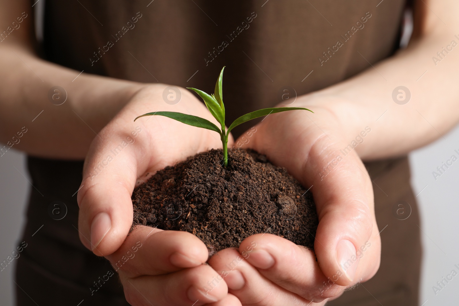 Photo of Woman holding pile of soil and seedling, closeup
