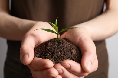 Woman holding pile of soil and seedling, closeup