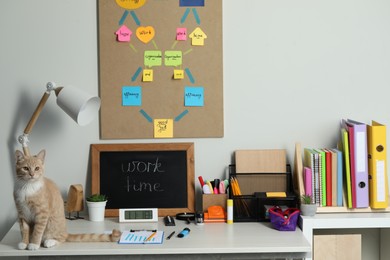 Photo of Business process planning and optimization. Workplace with cat, small blackboard, colorful paper notes and other stationery on white wooden table