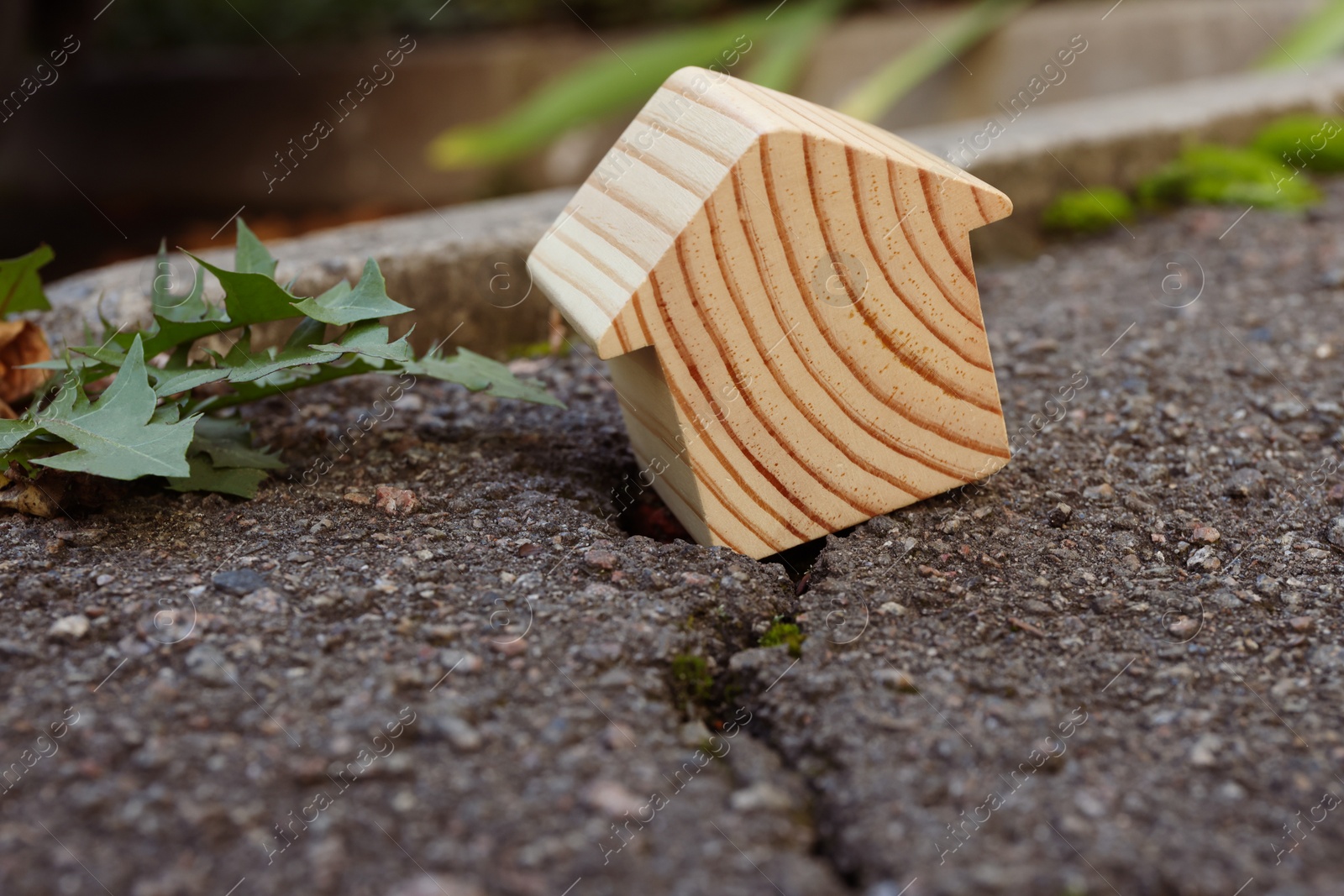 Photo of Wooden house model on cracked asphalt. Earthquake disaster