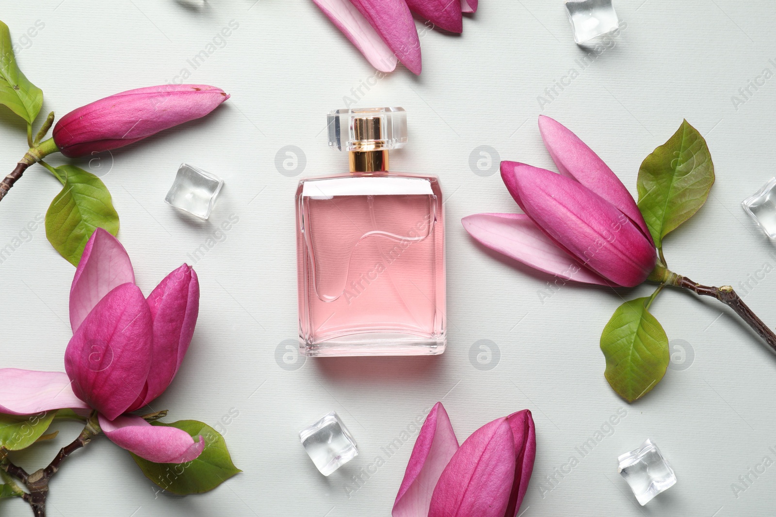 Photo of Beautiful pink magnolia flowers, bottle of perfume and ice cubes on light grey background, flat lay