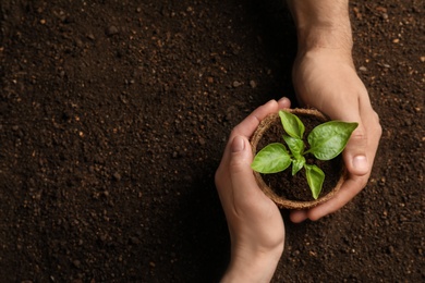 Photo of Man and woman holding pot with seedling on soil, top view. Space for text