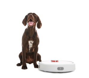 Photo of Modern robotic vacuum cleaner and German Shorthaired Pointer dog on white background