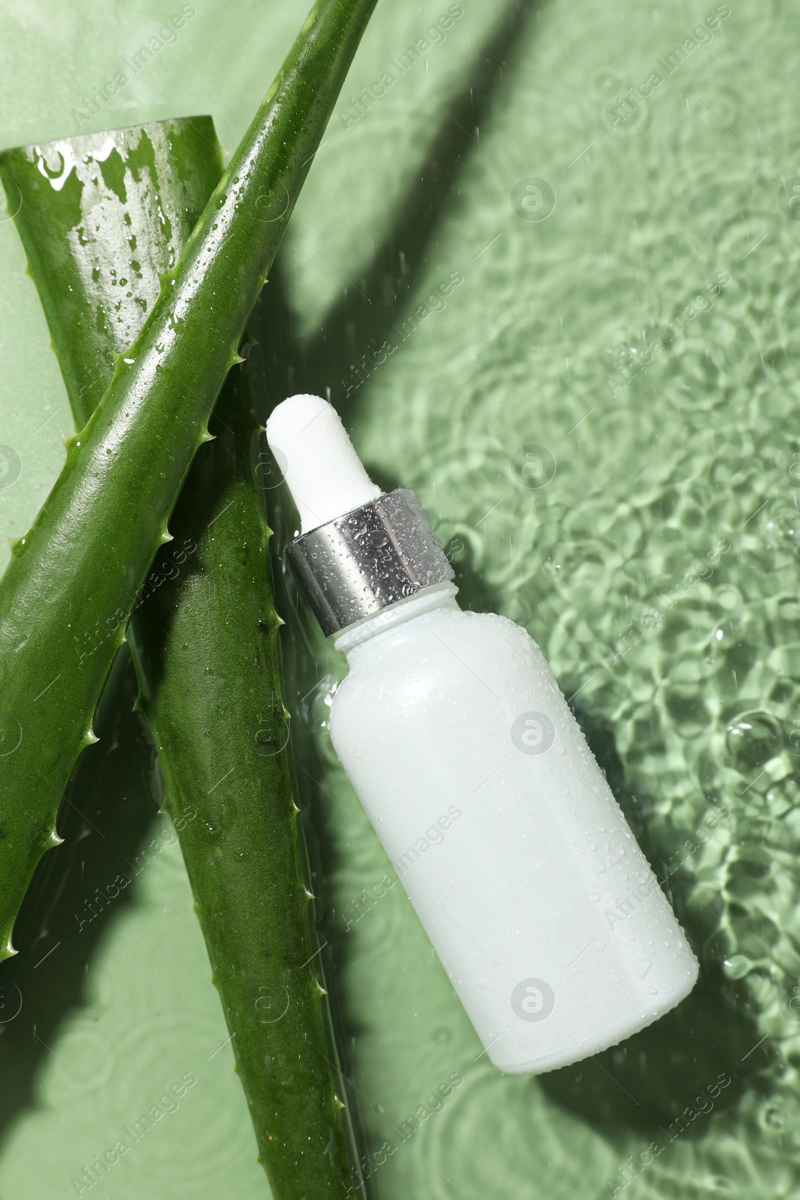 Photo of Bottle of cosmetic product and aloe leaves in water on pale green background, flat lay