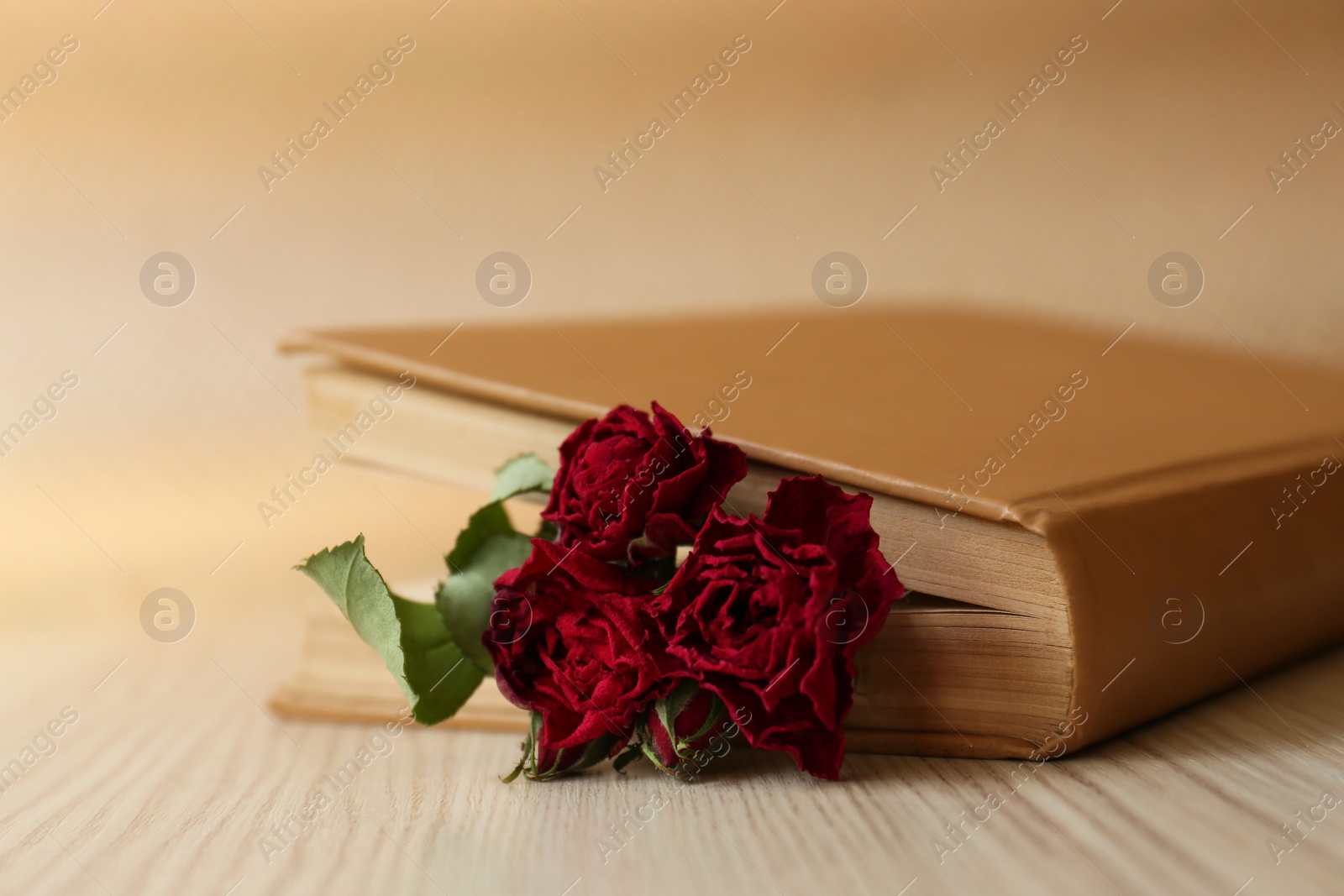 Photo of Beautiful dried flowers in book on wooden table, closeup