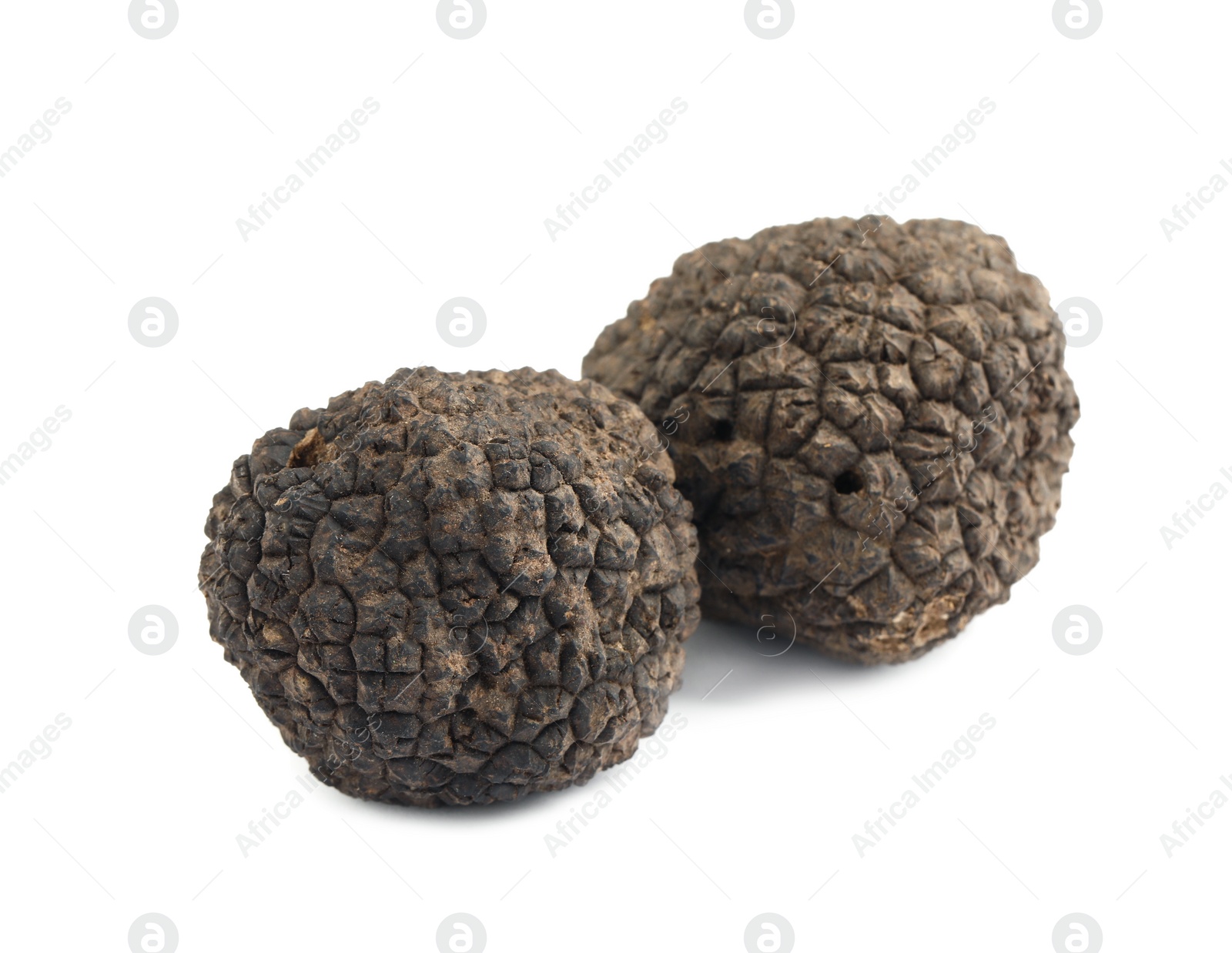 Photo of Fresh whole black truffles isolated on white