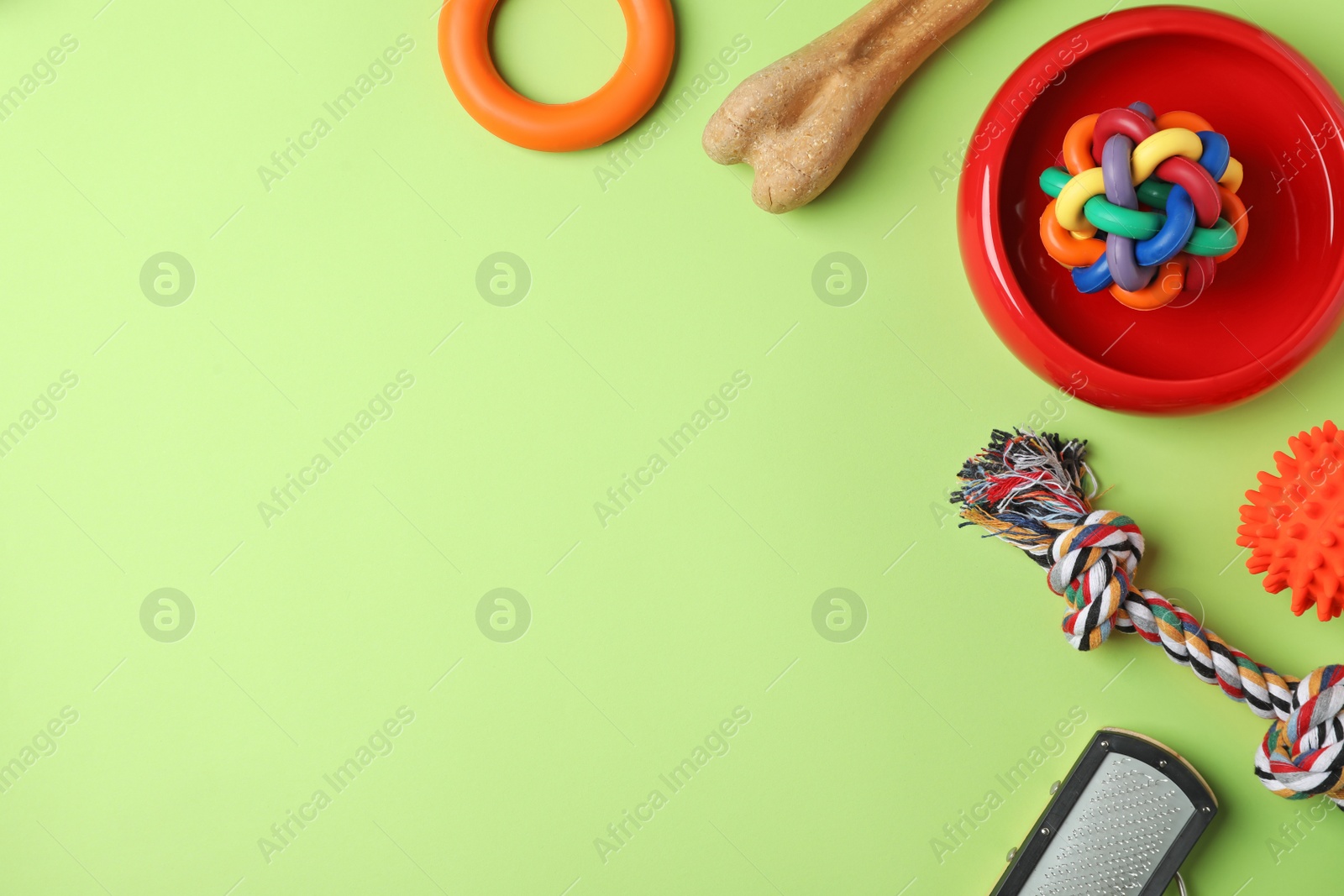 Photo of Flat lay composition with accessories for dog on color background. Pet care