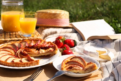 Apple pie and different products on blanket outdoors. Summer picnic