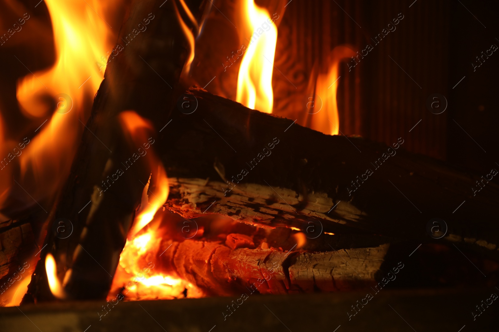 Photo of Bonfire with burning firewood on dark background, closeup