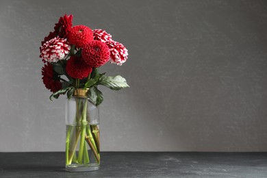 Beautiful dahlia flowers in vase on table against grey background. Space for text