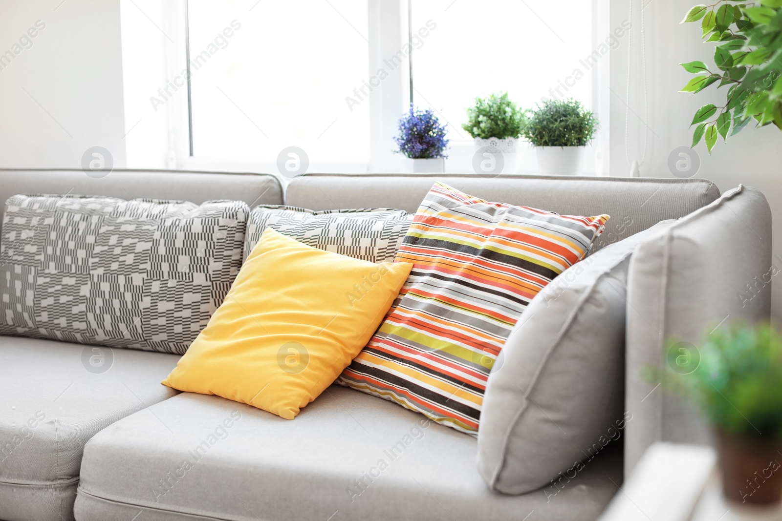 Photo of Interior of modern living room with pillows on sofa