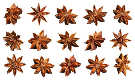 Image of Set with dry anise anise stars on white background