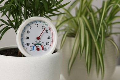 Photo of Round hygrometer with thermometer and plant in flower pot, closeup. Space for text