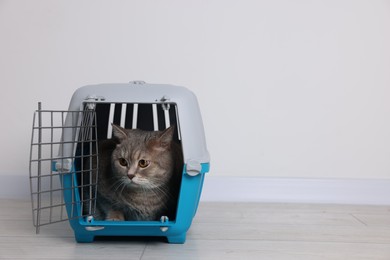 Travel with pet. Cute cat in carrier on floor near white wall indoors, space for text