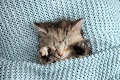 Photo of Cute kitten sleeping in light blue knitted blanket, top view