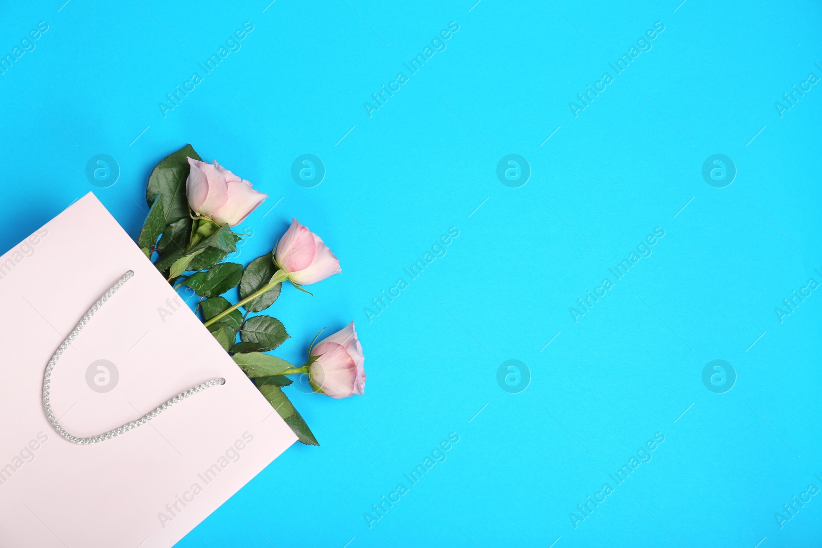 Photo of Stylish flat lay composition with shopping bag and flowers on color background