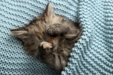 Photo of Cute kitten sleeping in light blue knitted blanket, top view