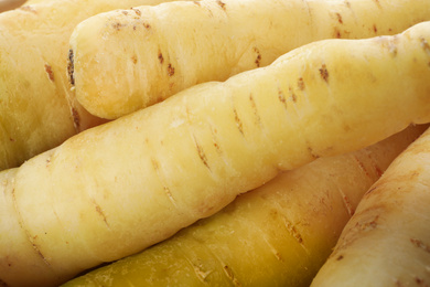 Fresh raw white carrots as background, closeup