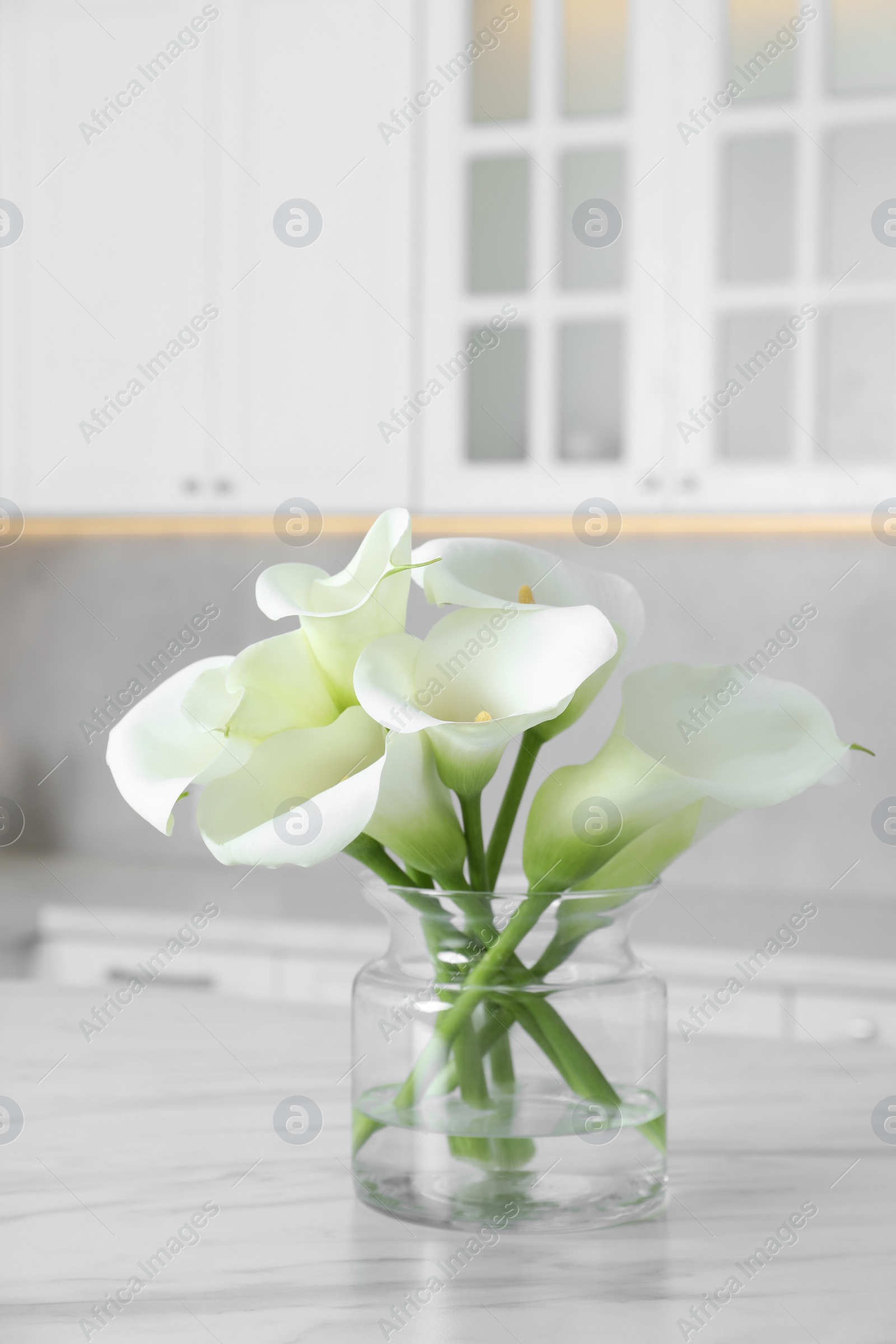 Photo of Glass vase with beautiful calla lily flowers on table in kitchen