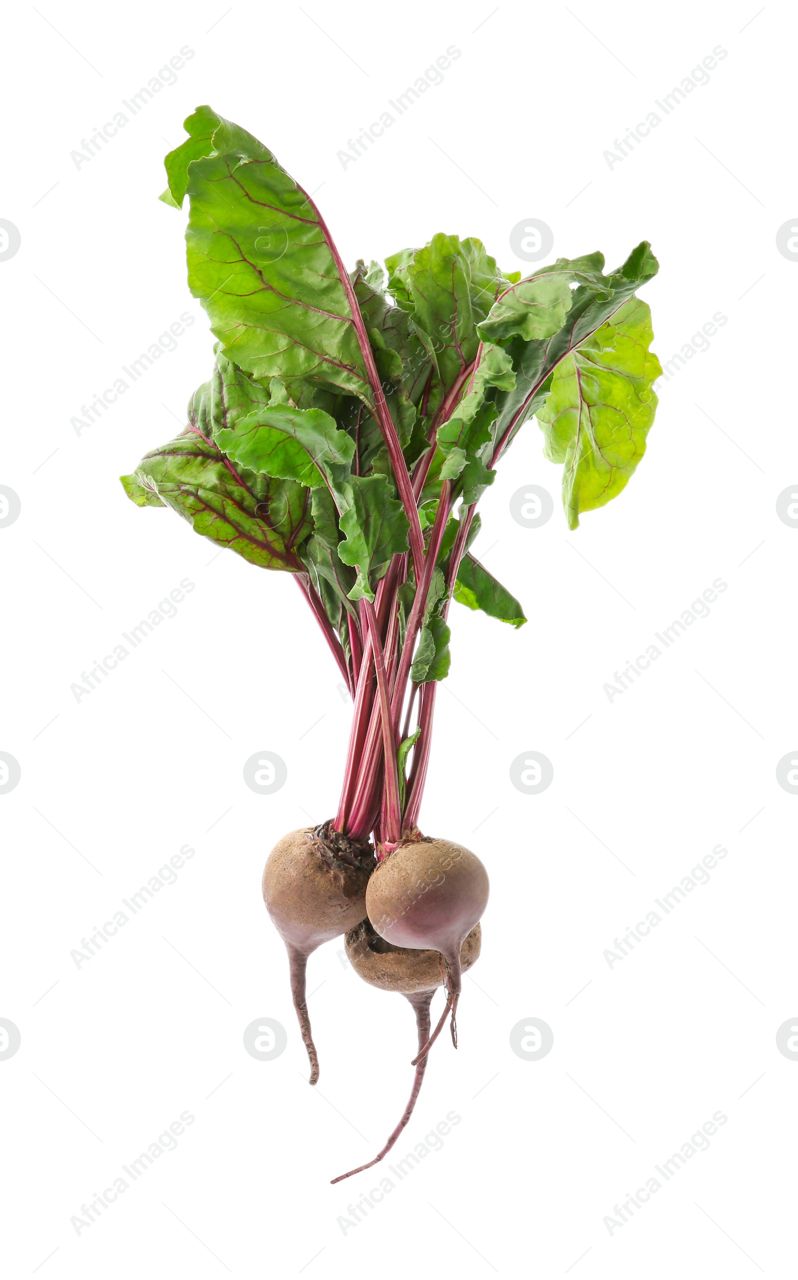 Photo of Bunch of fresh beets with leaves on white background