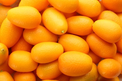 Photo of Many fresh ripe kumquats as background, closeup