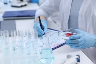 Laboratory worker holding petri dish with blood sample while working at white table, closeup