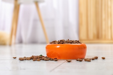 Photo of Bowl with food for cat or dog on floor. Pet care