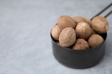 Whole nutmegs in small saucepan on light table, closeup. Space for text