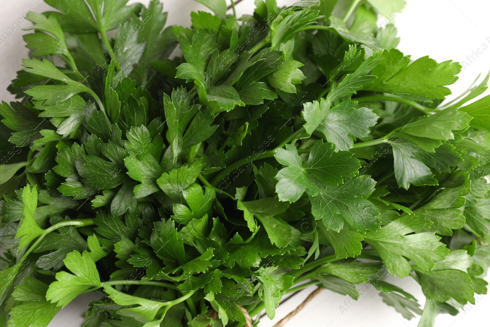 Photo of Bunch of fresh parsley on white table, closeup