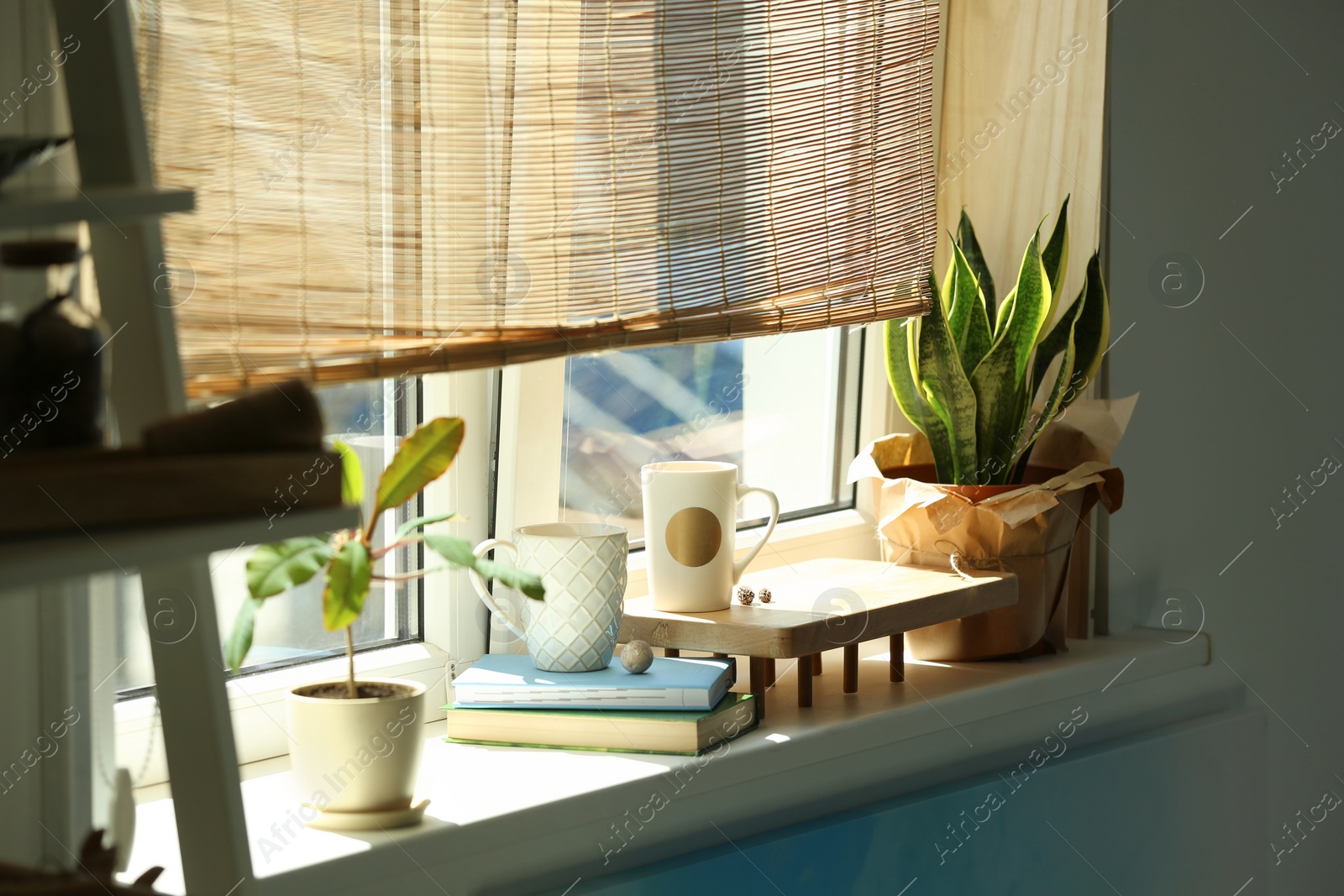 Photo of Green houseplants on window sill in room. Stylish interior