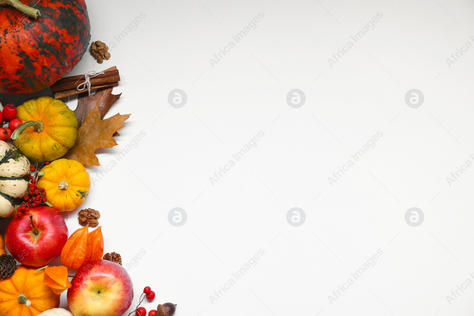 Photo of Thanksgiving day. Flat lay composition with pumpkins on white background, space for text
