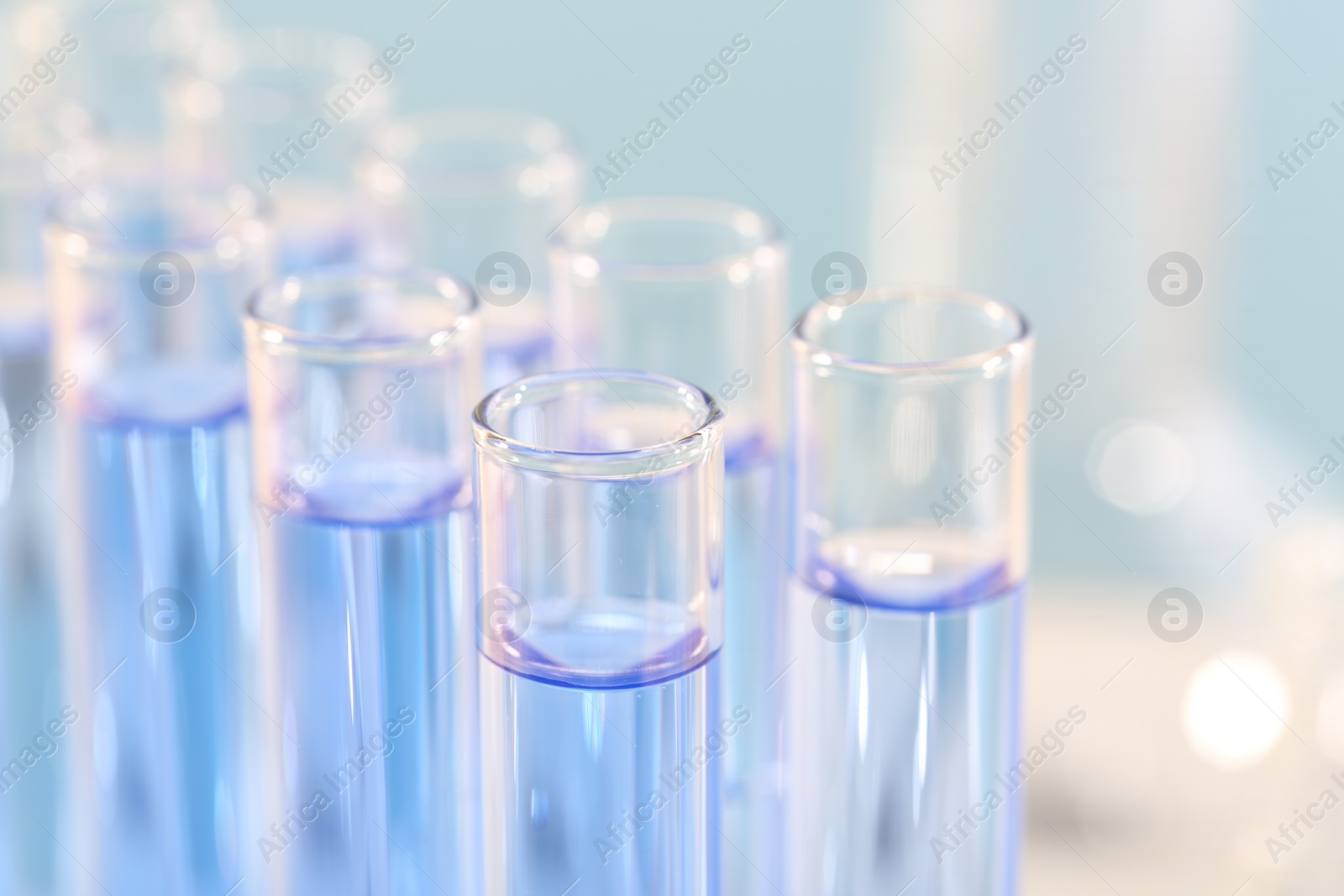 Photo of Laboratory analysis. Many glass test tubes with light blue liquid on blurred background, closeup