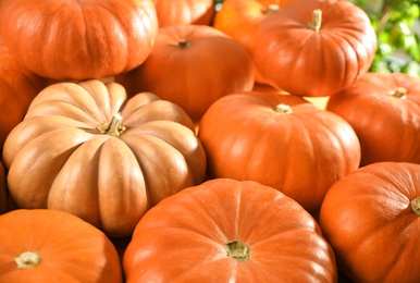 Photo of Many ripe orange pumpkins as background, closeup