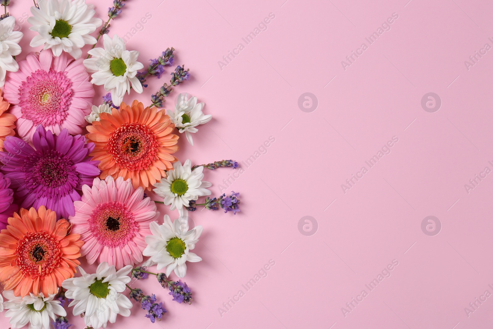 Photo of Flat lay composition with different beautiful flowers on pale pink background, space for text