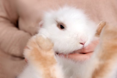 Woman with fluffy white rabbit, closeup. Cute pet