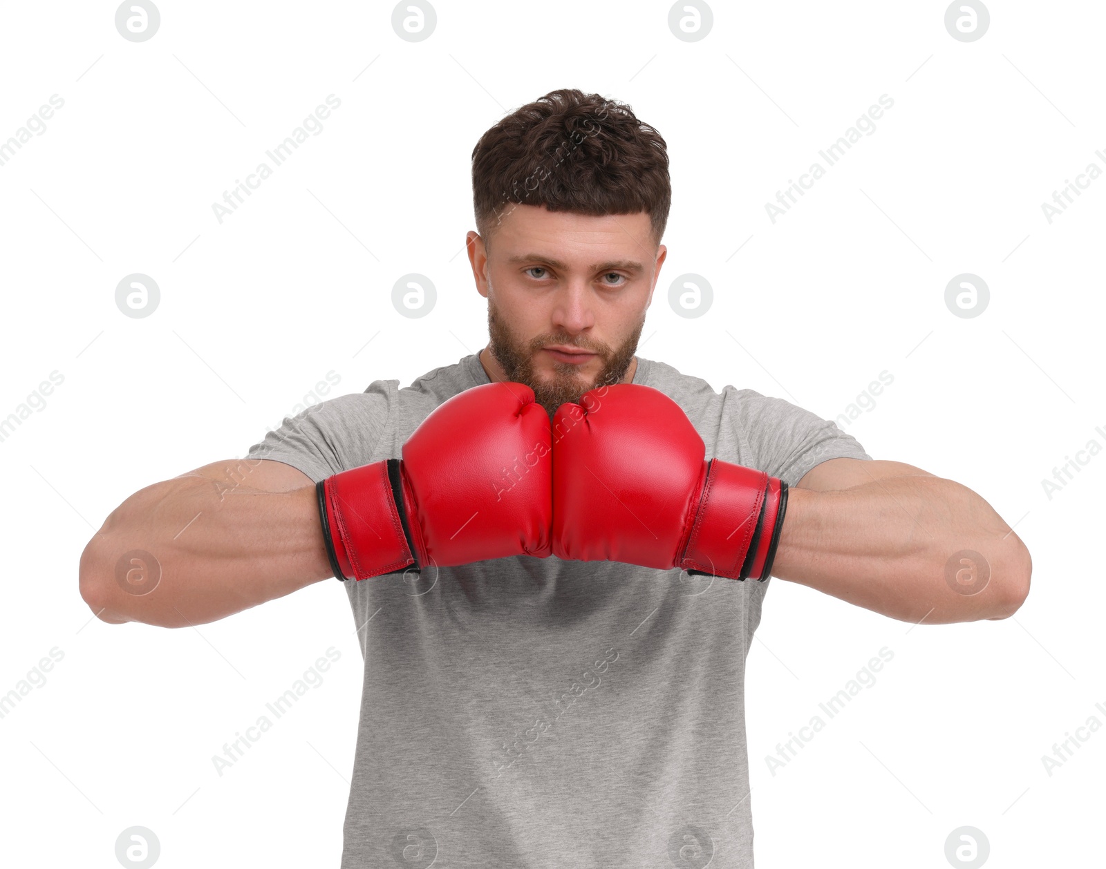 Photo of Man in boxing gloves on white background