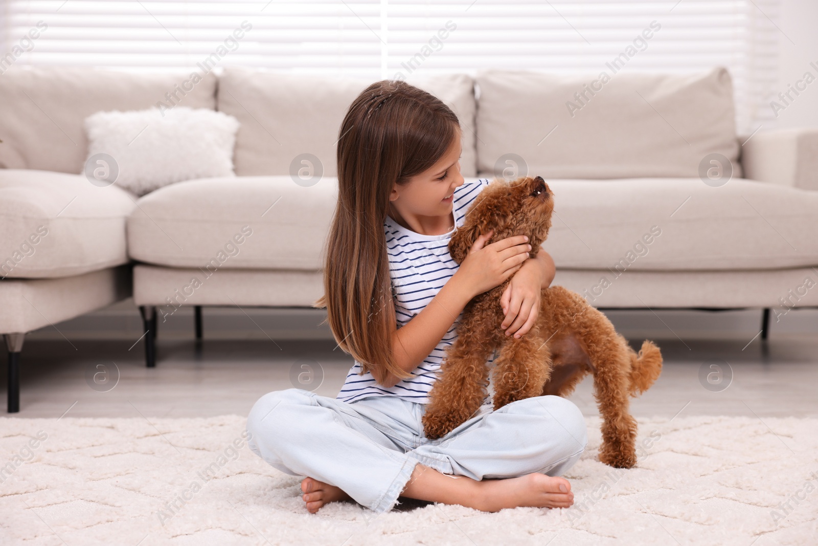 Photo of Little child with cute puppy on carpet at home. Lovely pet