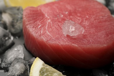 Photo of Raw tuna fillet and ice cubes on dark table, closeup