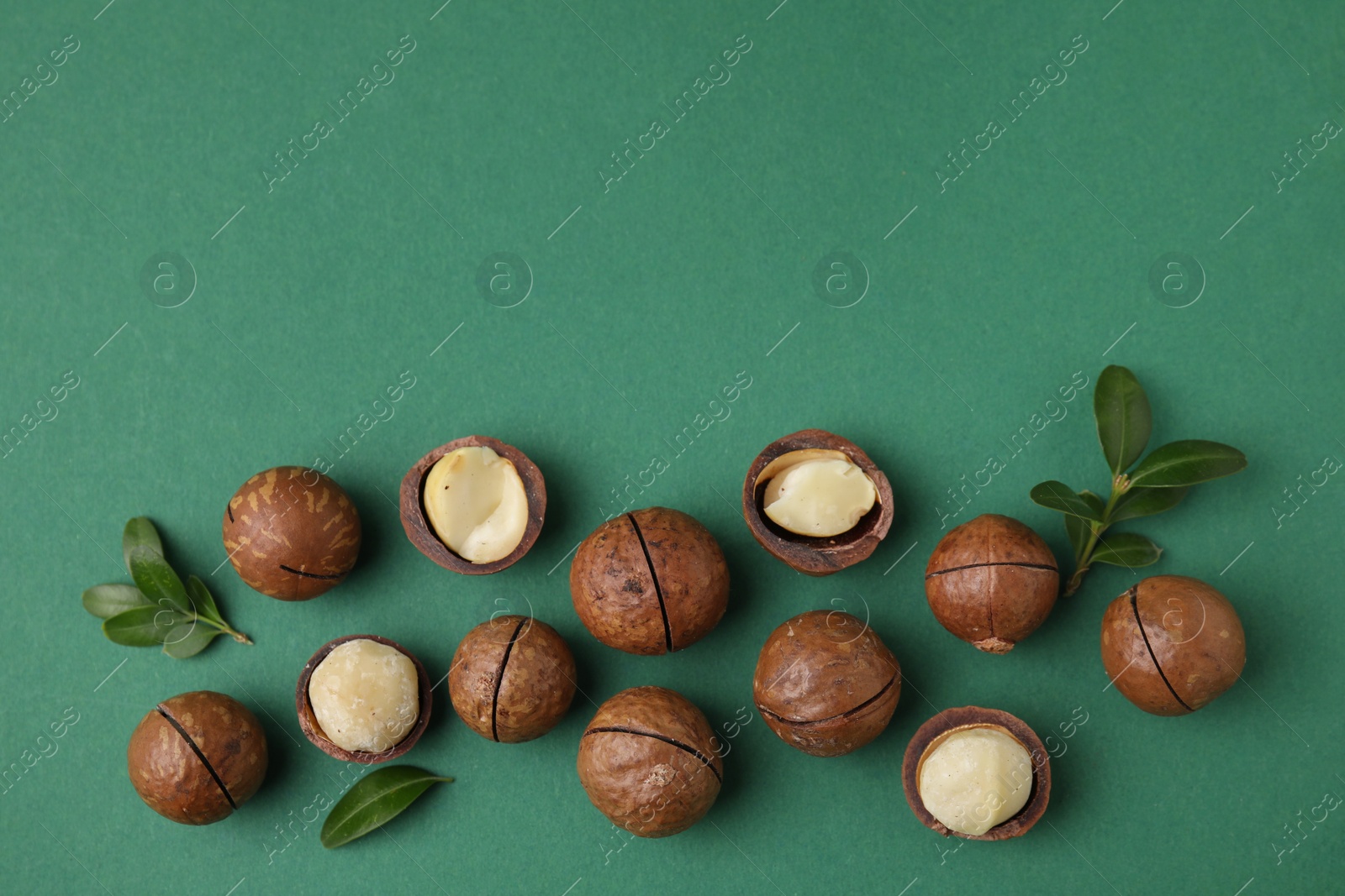 Photo of Tasty Macadamia nuts and leaves on green background, flat lay. Space for text