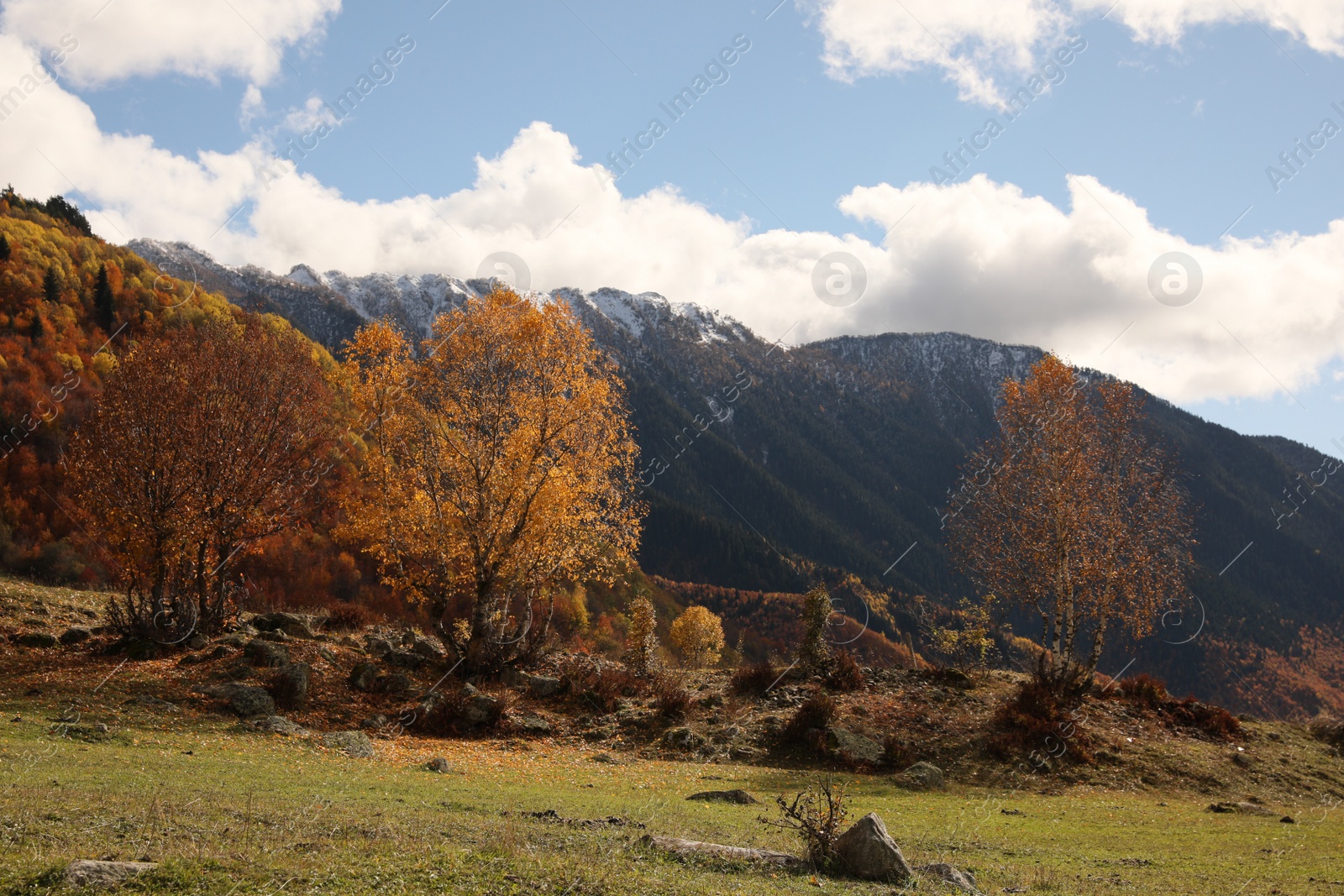 Photo of Picturesque view of mountain landscape with forest and meadow under cloudy sky